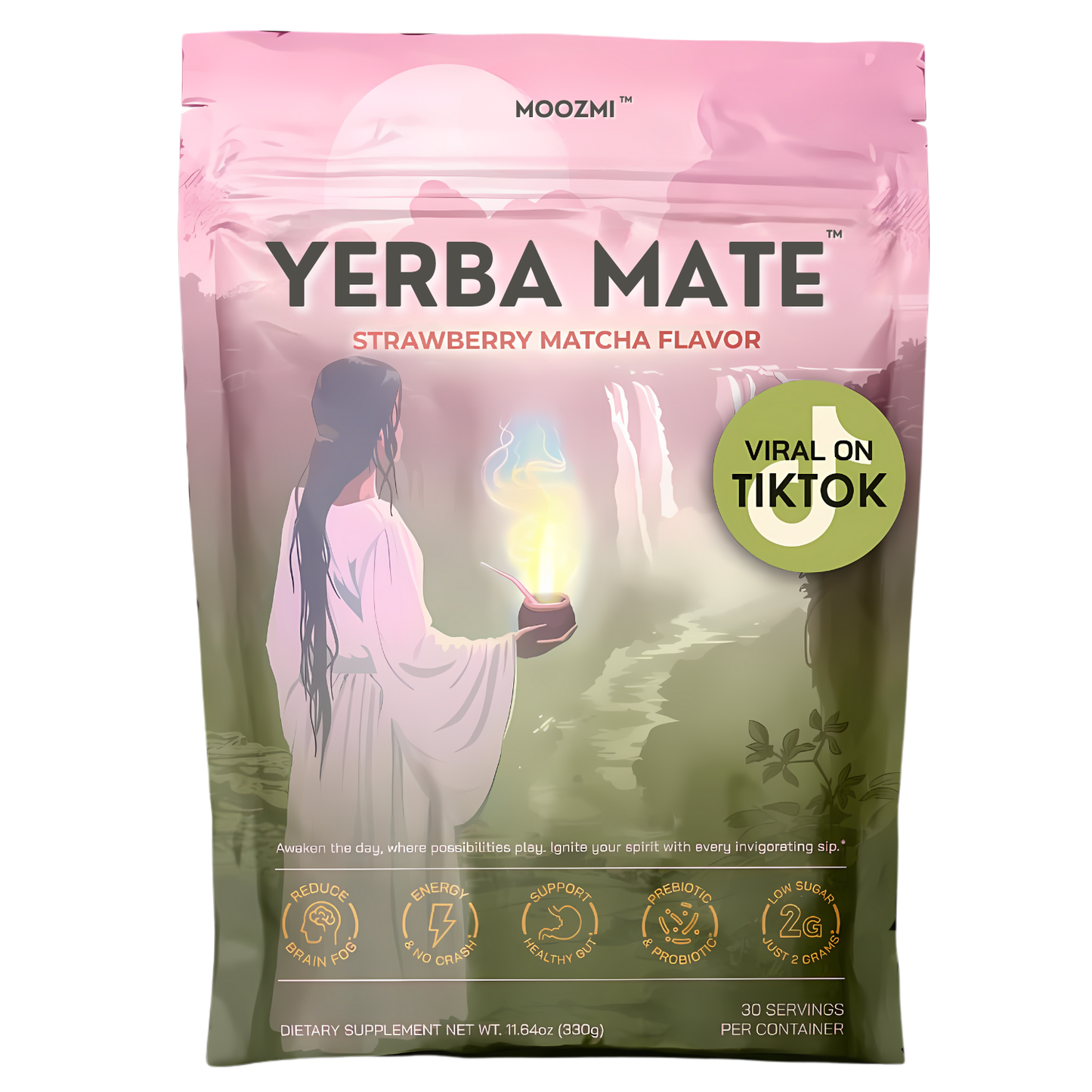 Yerba Mate Tea Powder